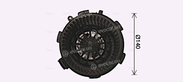 AVA OL8696
