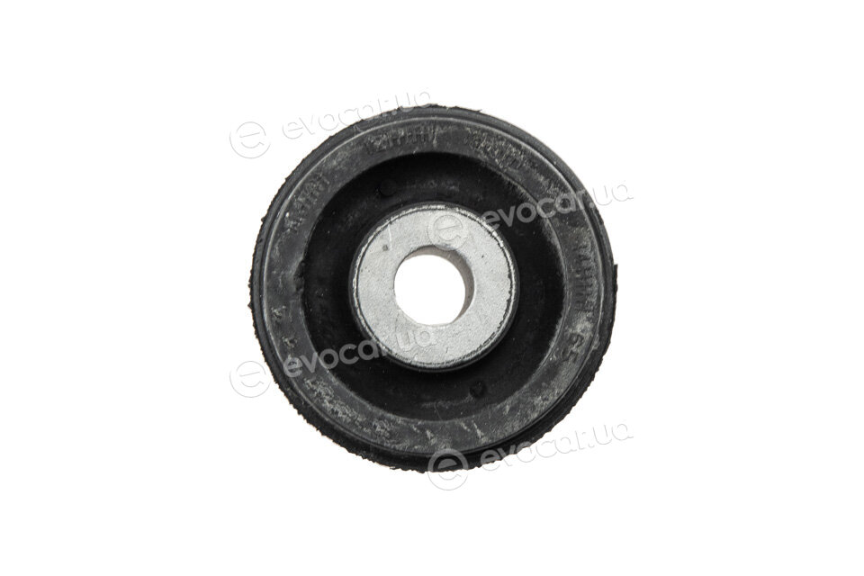 NTY ZTP-CH-019D