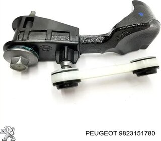 Mopar (PSA / FCA) 9823151780