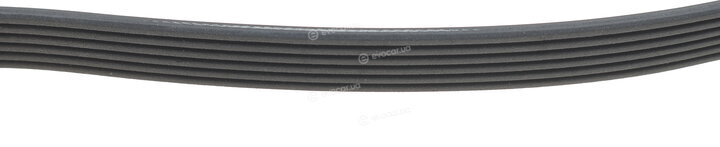 Dayco 6PK2040