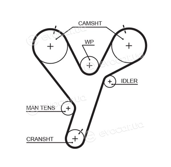 Gates K015446XS