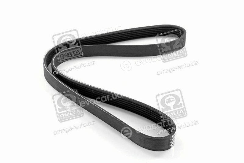 Dayco 6PK1069