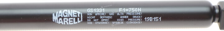 Magneti Marelli 430719133100