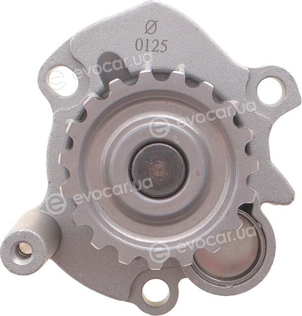 Motive TBK4982WP