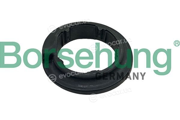 Borsehung B13253