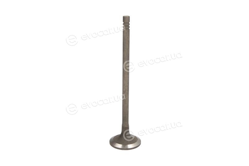 Freccia R6917/RNT