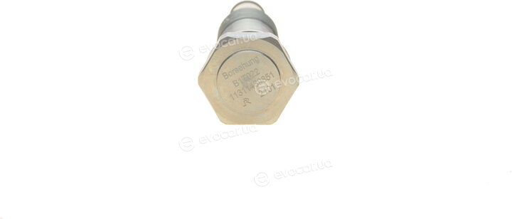 Borsehung B1T022
