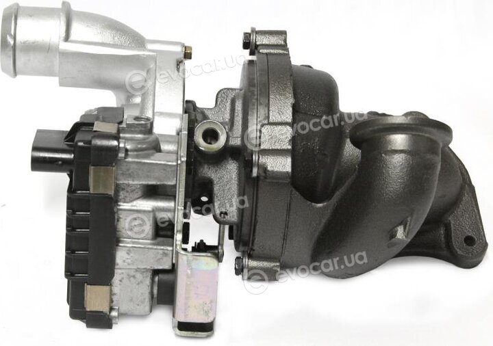Starline TD S1175T
