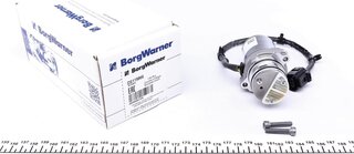BorgWarner DS119866