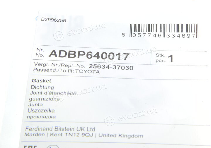 Blue Print ADBP640017