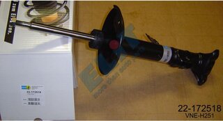 Bilstein 22-172518