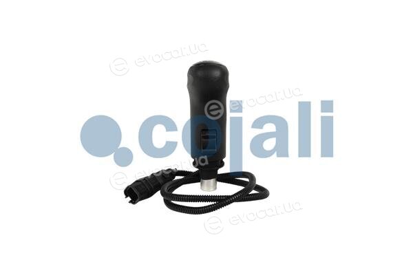 Cojali 2880267