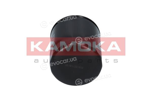 Kamoka F104001