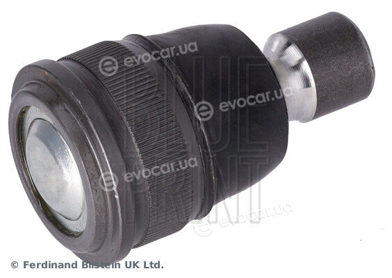 Blue Print ADBP860282