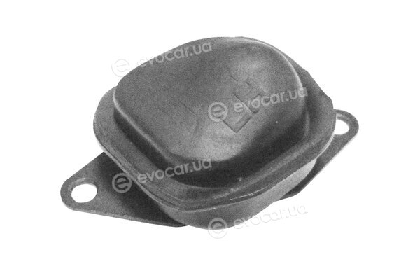 Tedgum TED12461