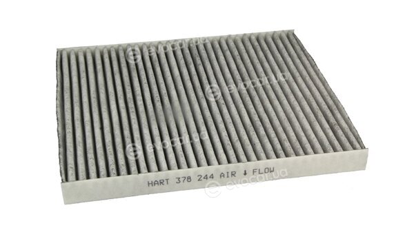Hart 378 244