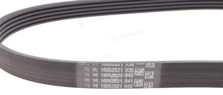 Continental 5PK1200