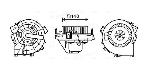 AVA OL8609