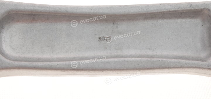 Solgy 204153