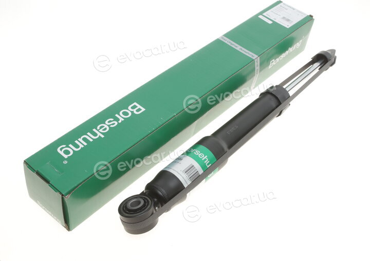 Borsehung B12133