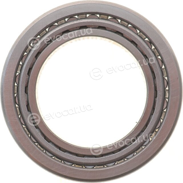 Solgy 216333