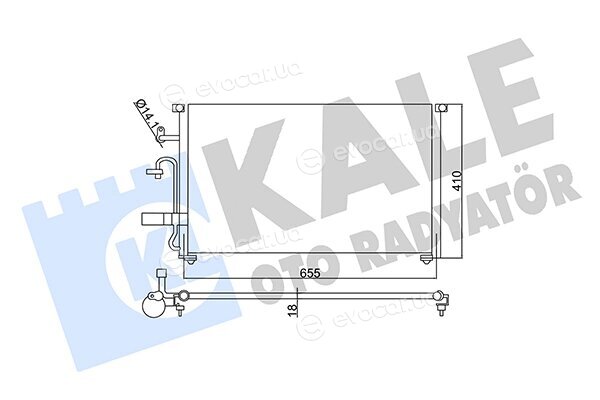 Kale 350545