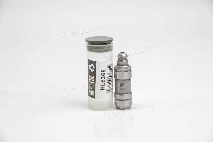 BGA HL6365