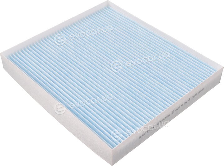 Blue Print ADG02592