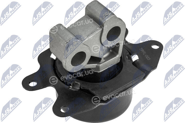 NTY ZPS-PL-018