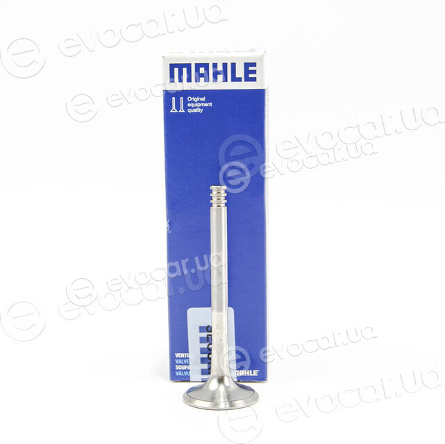 Mahle 029 VA 31103 100