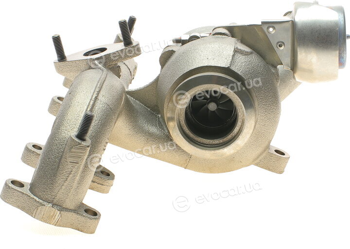 BorgWarner 54399880020