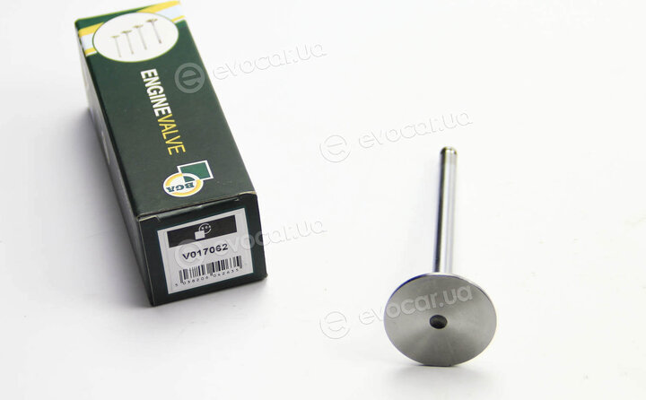 BGA V017062
