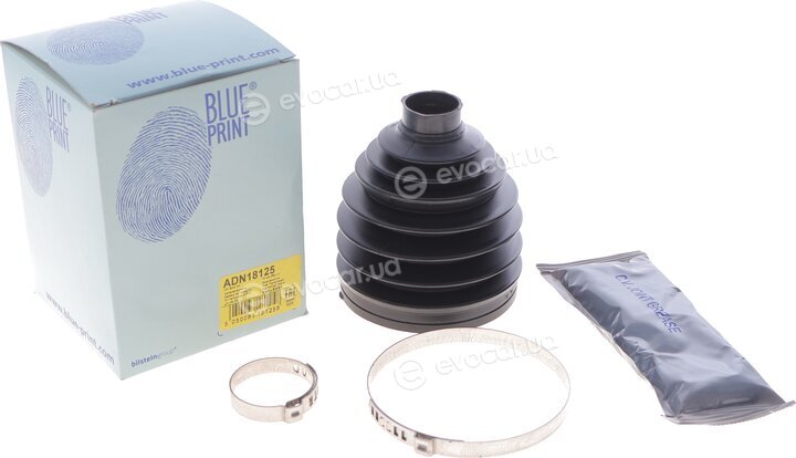 Blue Print ADN18125