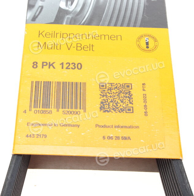Continental 8PK1230