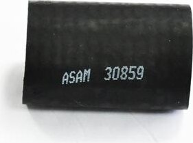 Asam 30859