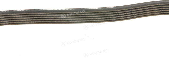Dayco 6PK1468HD