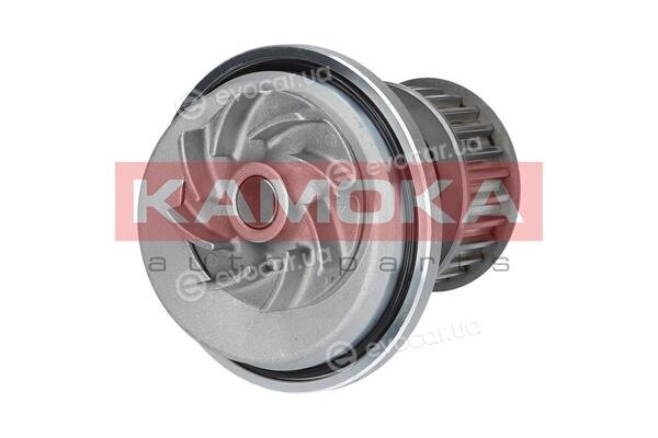 Kamoka T0069