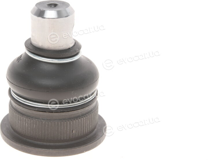 Solgy 203086