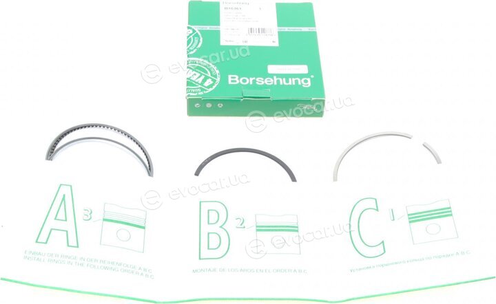 Borsehung B10361