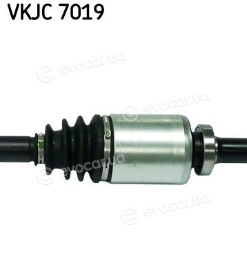 SKF VKJC 7019