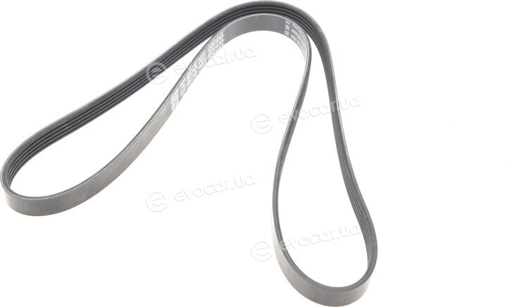 Dayco 5PK1360