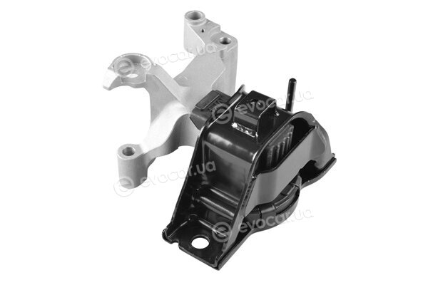 Tedgum TED58330