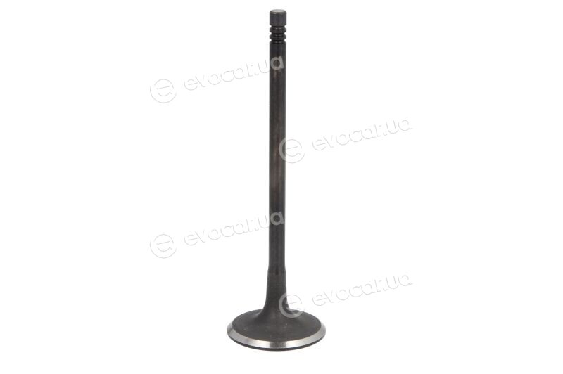 Freccia R6916/SNT