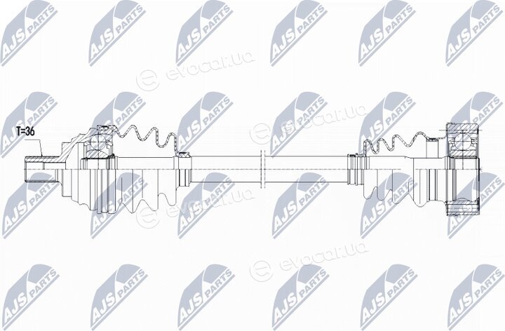 NTY NPW-VW-067