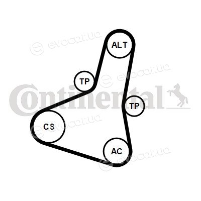 Continental 6PK1004 EXTRA K1