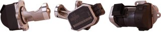 Starline ED STEG36