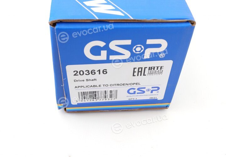 GSP 203616