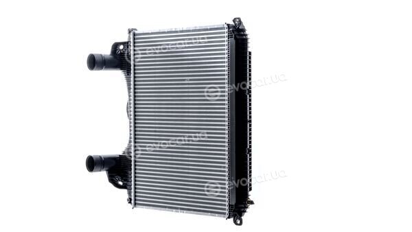 Mahle CI 123 000P