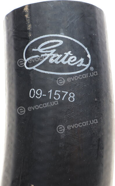 Gates 09-1578