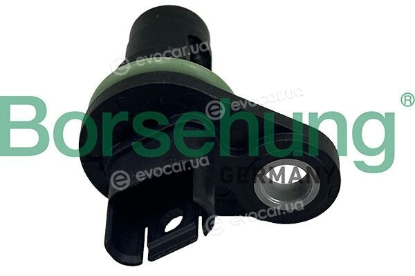 Borsehung B13486